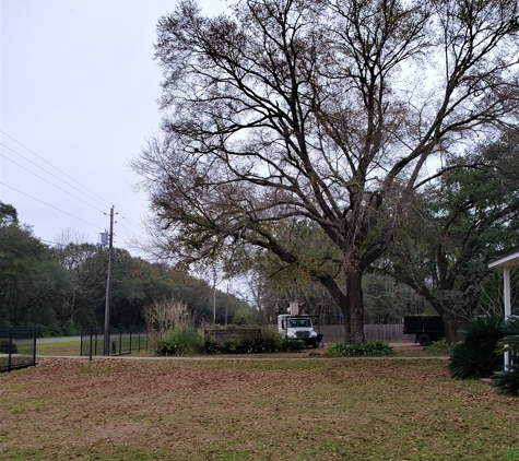 Battiste  Tree Service - Theodore, AL. Before