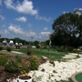 Cove Marina Mini Golf