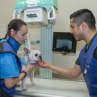 Livewell Animal Hospital of Edmond