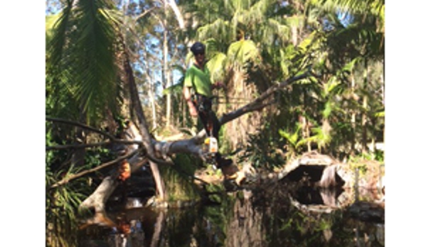 Newcastle Tree Care - Warners Bay, NSW