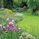 RMI Lawn Care - Lawn Maintenance