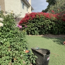 Benny's Gardening Service - Landscaping & Lawn Services