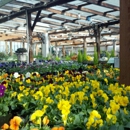 Bellevue Nursery - Nurseries-Plants & Trees