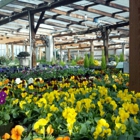 Bellevue Nursery