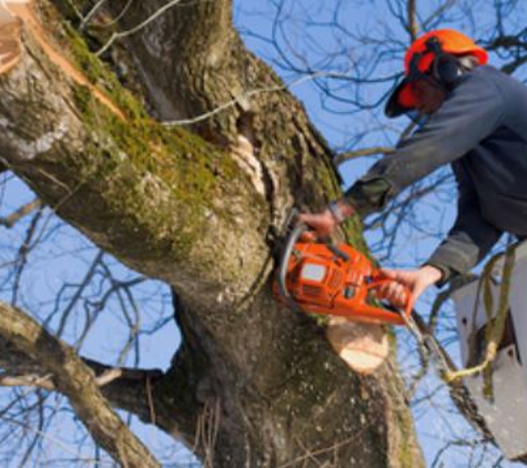 Kirkland's Tree Service Inc - Lakeland, FL