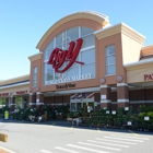 Big Y Supermarket