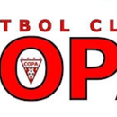 FC Copa Academy - Sports Clubs & Organizations