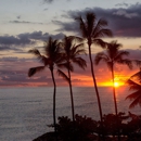 Blue Hawaii Photo Tours - Sightseeing Tours