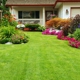 Quality Lawn Care