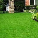 Perfection Lawn & Pest Control - Gardeners