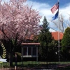 Brookfield School Elementary Campus gallery