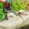 Timberland Tree Service gallery