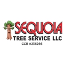 Sequoia Tree Service - Tree Service