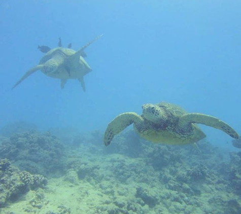 Rainbow Scuba Hawaii - Honolulu, HI