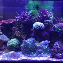 Infinity Fish - Aquariums & Aquarium Supplies