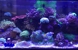 Infinity Fish - Aquariums & Aquarium Supplies