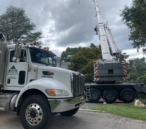 Cox & Company Tree Service - Penn Valley, PA