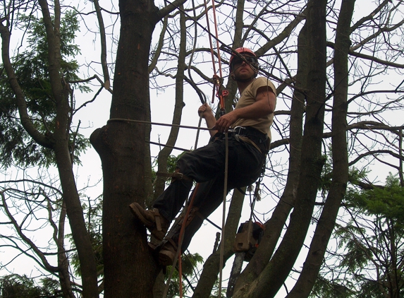 Long's Tree Service - Annville, PA