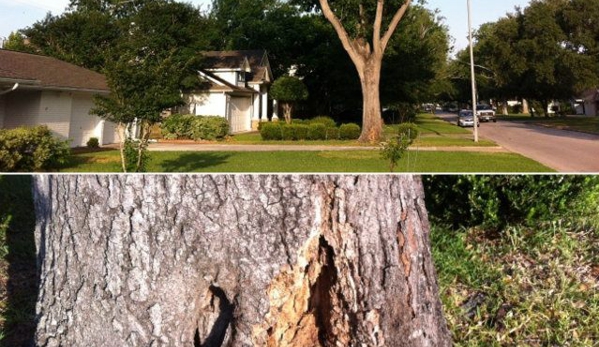 Don's Tree Service - Houston, TX