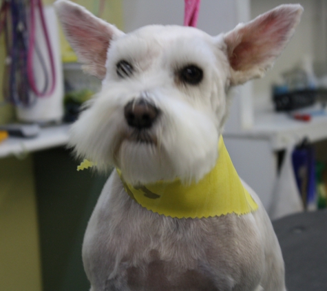 4 Paws Pet Grooming - Escanaba, MI