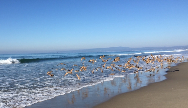 Sunset State Beach - Watsonville, CA