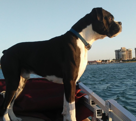 Sand Dollar Charters @ St. John's River - Astor, FL. Dog Friendly!