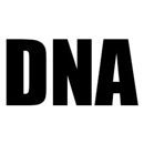 Double N Automotive Inc