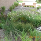 Stormwater STL