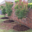 Special T Landscaping - Landscaping & Lawn Services