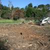 Down to Earth Land Clearing Solutions Inc gallery