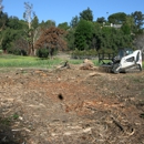 Down to Earth Land Clearing Solutions Inc - Industrial Consultants