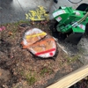 Riccabona's Landscape & Tree Service Inc. gallery