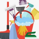 Ameri-Clean Services, Inc. - Carpet & Rug Cleaners