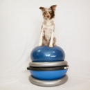 The Martial ARFS Dog Training and Fitness Centers - Pet Training