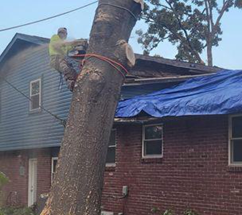 Gomez Tree Service - Houston, TX