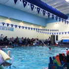 La Petite Baleen Swim Schools