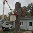 Climbin' Tough Tree Service - Tree Service