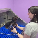 Liberty Paw Spa - Dog & Cat Grooming & Supplies