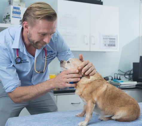 Sydney Animal Hospitals - Avalon Beach, NSW