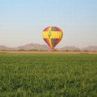 Southern Arizona Balloon Excursions