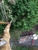 Darrel Emel's Tree Service - Tree Service