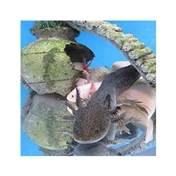 Gallery Image Number 7