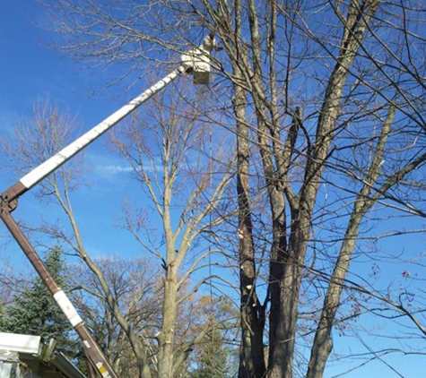 Pfister Tree Service ,LLC - Auburn, IN