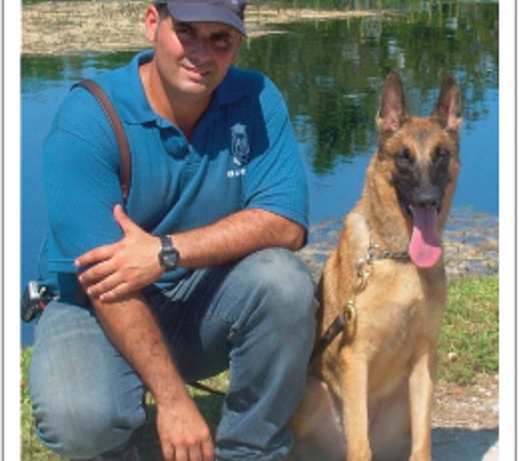 K9 Advisors Dog Training - Hollywood, FL