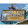 Cross-Eyed Moose gallery