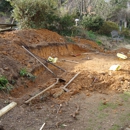 NENO`S LANDSCAPING LLC - Landscaping & Lawn Services