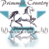 Primmer Country Photography gallery