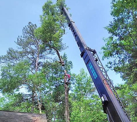 Big Bend Tree Service - Tallahassee, FL