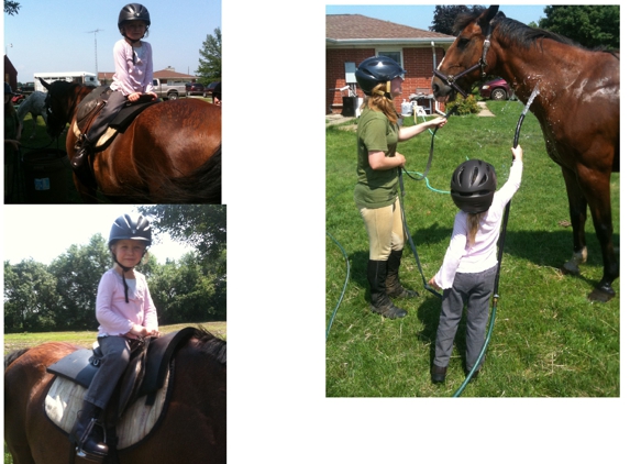 Pony Brook Stables - West Lafayette, IN