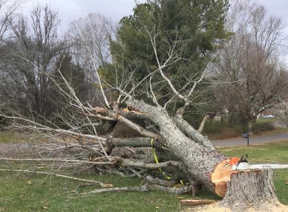 Classic Lawn & Tree - Maryville, TN. Another Tree Down